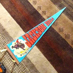 Vintage Souvenir Pennant